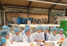 Foto. ,,Săptămâna Verde” la Școala ,,Ovid Densușianu”