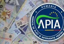 Fraudă uriașă cu subvenții APIA: Peste 300 de percheziții în 15 județe din România