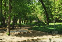 Foto și Video. Afacerea ,,Parcul“. Realitatea din Parcul ,,Regina Maria“ vs. ,,Dar s-a mai și făcut!“. Locul de relaxare al făgărășenilor, bătaia de joc a primarului traseist al Făgărașului monitorfg
