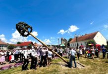 1 Mai – Sărbătoarea de Armindeni. Tradiții, superstiții și obiceiuri de Ziua Pelinului. Obicei păstrat la Calbor