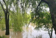 Foto și Video. Pericol de inundații în satele făgărășene. La Mândra și Părău râurile au ieșit din matcă, inundând terenuri și unele gospodării