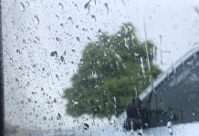 Vreme rece şi ploioasă toată săptămâna, în aproape toată ţara/ Temperaturi cu până la 10 grade sub normalul perioadei/ Motivul vremii reci şi al excesului de precipitaţii