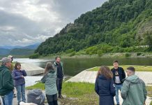 Castorii și Conservation Carpathia, afectează patrimoniul natural din zona masivului Făgăraș. Castorii, pericolul de la Praid?