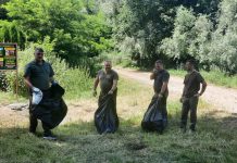 Foto. Ocolul Silvic ,,Pădurile Făgărașului“, acțiune de ecologizare pe drumurile forestiere din comunele făgărășene