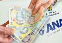 Evaziunea ajunge, în sfârșit, pe masa CSAT. Studiu de caz: Angajați ANAF țin contabilitatea firmelor controlate