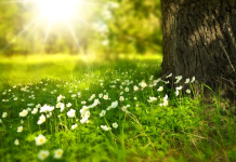 Solstițiul de vară – sâmbătă e cea mai lungă zi din an