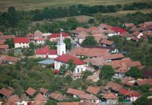 Măsurile de austeritate, etapa a 2-a: Comunele Drăguș și Ticușu rămân fără funcția de viceprimar de la 1 ianuarie 2026