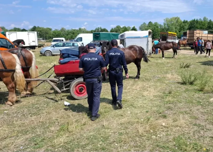 cai-1024x731 monitorfg