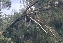 Foto. Dezastru la Copăcel. ,,Nu am văzut așa ceva, am zis că nu mai scap. O tornadă care a măturat totul în cale“ spune Daniel Dâmboiu, primarul comunei Hârseni