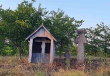 Povestea crucilor ridicate în Bărăgan. Lansare de carte la Dăișoara și Brașov