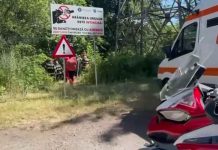 Motociclist atacat de urs și ucis, pe Transfăgărășan, în apropierea barajului Vidraru