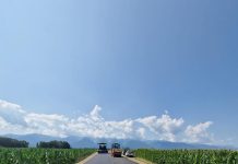 Drumul ce leagă Viștea de Jos de Viștea de Sus este reabilitat în proporție de 60%. Investiția este finanțată de CJ Brașov din bugetul propriu