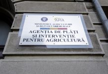 Agenţia de Plăţi şi Intervenţie pentru Agricultură: Vizarea carnetelor de rentă viageră se face până la 1 septembrie 2025