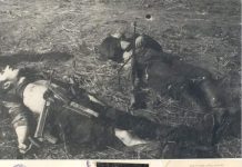 Cum au murit doi eroi, Gelu Novac şi Gheorghe Şovăială. Tragedia de la Obreja/Alba