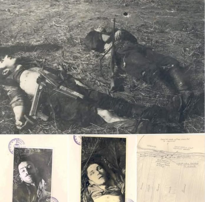 abaca9cc-1942-4319-b00e-57ea3eaaa5bd