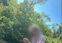 Un pescar din județul Brașov a fost atacat și rănit grav de un urs