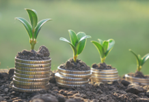 E lege . Sancțiuni masive pentru românii care sunt proprietari de pământ și nu respectă noile reguli. Ce trebuie să facă pentru a evita amenda