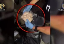 Traficant de droguri prins în flagrant la Cincu. Bărbatul de 24 de ani a fost arestat. Soluția Tribunalului Brașov