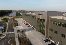 Cultura care ar putea revoluționa agricultura românească, odată cu anunțul construcției unei fabrici de pulberi la Victoria