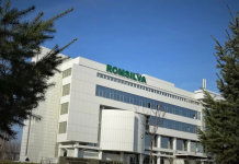 Ministra Mediului a numit în conducerea Romsilva doi foști inculpați, achitați în dosare de corupție și selectați de AMEPIP