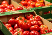 Deficitul de alimente: exportăm subvenții, importăm borcane și bulion de roșii. Și o comparație cu Polonia