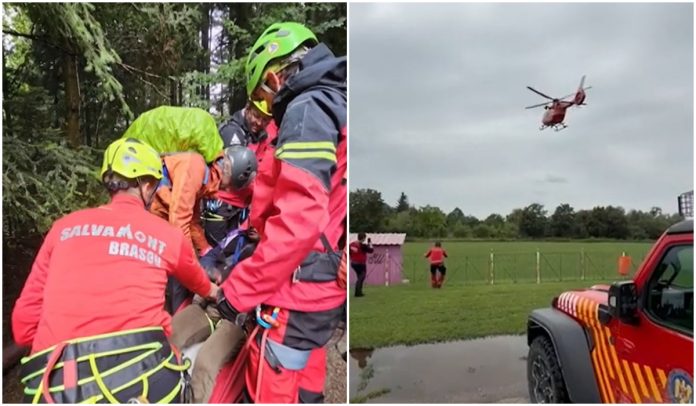 Imagine cu caracter ilustrativ