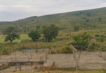 Video. Băile Rodbav, o istorie uitată. Bazinele și izvoarele terapeutice, acoperite de bălării. Afacerea Justiției și a Direcției Penitenciarelor. Cum a furat Ministerul Justiției proprietatea comunității din Rodbav