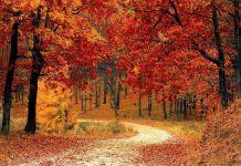 Astăzi are loc echinocțiul de toamnă. Când trecem la ora de iarnă