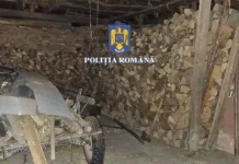 Foto, VIDEO. Acțiune de amploare în nordul județului Sibiu. Peste 210 polițiști din mai multe județe au destructurat o rețea ilegală de lemne