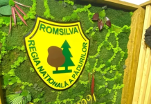Doar în ultimii doi ani, 13 directori Romsilva au reuşit să cumuleze bonusuri de pensionare în valoare de 1 milion de euro