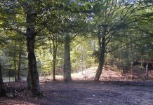 Ministerul Mediului minte în cazul stabilirii ,,zonelor de protecție strictă“. Nu au fost realizate consultări cu proprietarii de terenuri din zona Făgăraș. Primarii și composesoratele contestă proiectul ministerului. Răspunsurile MMAP la întrebările Monitorul de Făgăraș