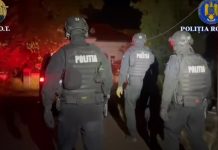 VIDEO. Percheziții la o grupare infracțională care falsifica permise de conducere, buletine, diplome și adeverințe de studii, cărți de muncă