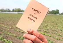 APIA va plăti 29,3 milioane lei pentru renta viageră agricolă aferentă Campaniei 2024. În județul Brașov sunt 550 rentieri monitorfg