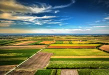 Plățile în avans pentru Campania 2025: jumătate de milion de fermieri autorizați la plată