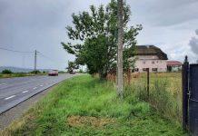 Reţeaua electrică ce leagă localitățile Viştea de Jos şi Vistea de Sus va fi modernizată. Investiția costă peste un milion de lei