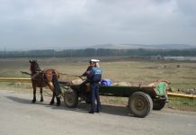 Doar în trei ore, 82 amenzi pentru conducătorii de atelaje hipo. Doi căruțași erau beți monitorfg