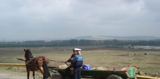Doar în trei ore, 82 amenzi pentru conducătorii de atelaje hipo. Doi căruțași erau beți