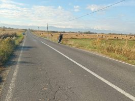 Modernizarea unor drumuri județene, proiect de 268 milioane de lei. CJ Brașov a lansat licitația în sistemul public de licitații