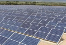 Parc fotovoltaic la Părău, investiție de 275 milioane de euro