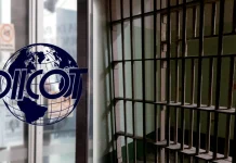 Percheziții la traficanții de droguri din județul Brașov. Oamenii legii au descins și în penitenciar unde drogurile erau introduse sub formă de corespondență