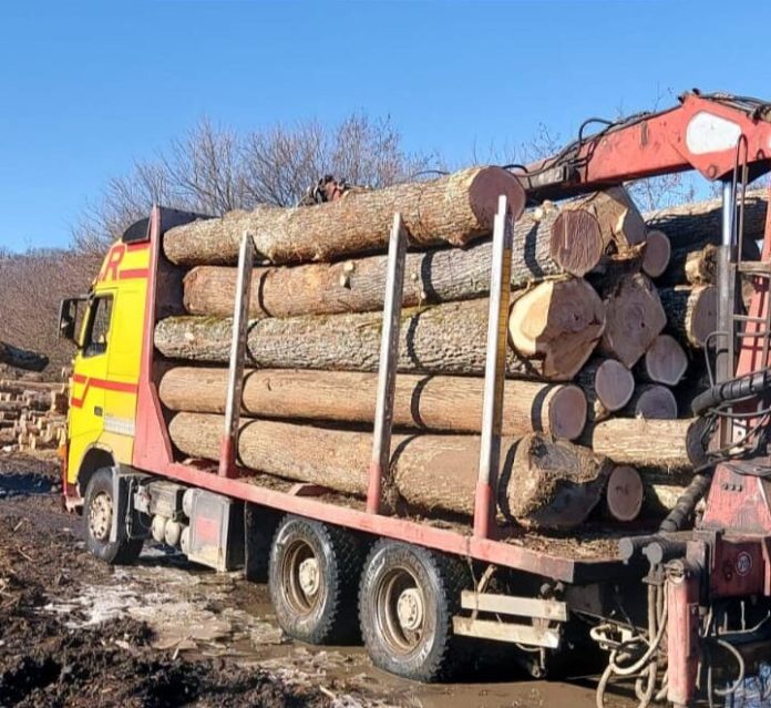 lemne-furate-2-e1642334975817