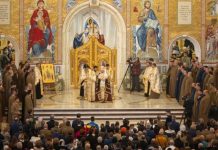 A CÂTA CONDAMNARE A LUI RADU GYR? Pe marginea scandalului creat de Alexandru Florian monitorfg