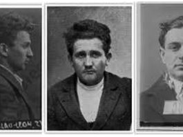 Bomba de la Senat. Doi senatori au murit și alți trei au fost grav răniți în atentatul din 8 decembrie 1920. Cine au fost autorii