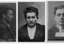 Bomba de la Senat. Doi senatori au murit și alți trei au fost grav răniți în atentatul din 8 decembrie 1920. Cine au fost autorii