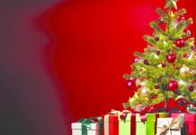 Bradul împodobit, magia sărbătorilor de iarnă. Istoria bradului împodobit îşi are originile în Germania, acum peste 1000 de ani. Forma de triungi a bradului ne aminteşte de Sfânta Treime