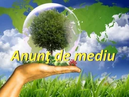 Anunț Mediu SC GIROSIL MASTER CONSTRUCT SRL