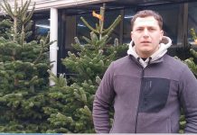 Video. Se vând brazi în Piața Agroalimentară Făgăraș. Cel mai mic costă 80 lei, iar cel mai înalt, de 4 metri, costă 200 lei