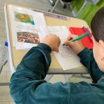 curs engleza Homorod (1)