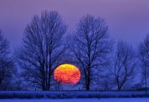 Solstițiul de iarnă, începe iarna astronomică. Astăzi este cea mai scurtă zi din an