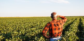 APIA vs. INS. Terenurile declarate la APIA de fermieri, constrazise de statisticile INS. APIA vine cu explicații